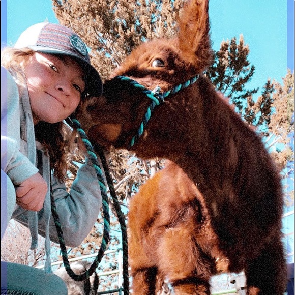 Meet your Posher, Madeline - Picture 1 of 1